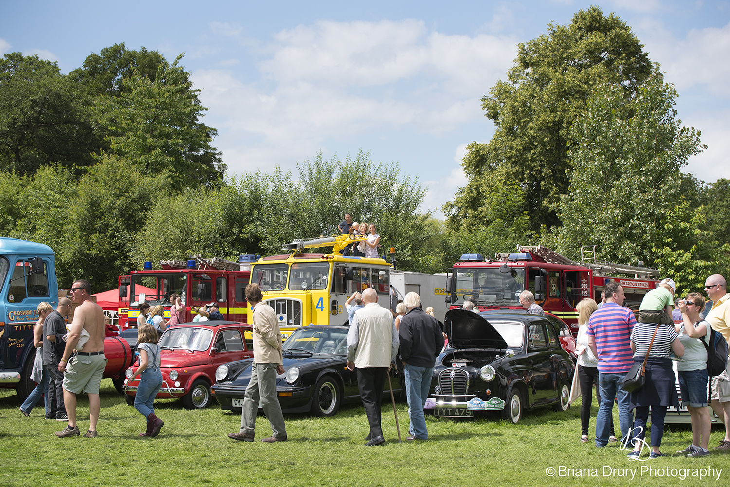 Cars_in_the_Park1153