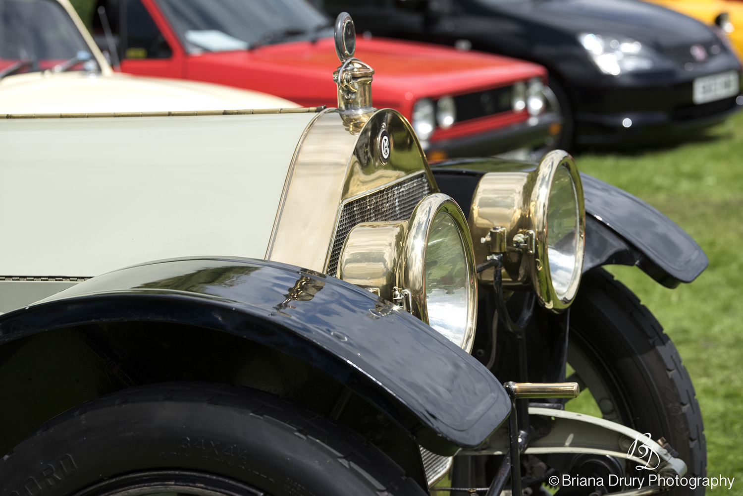 Cars_in_the_Park1161