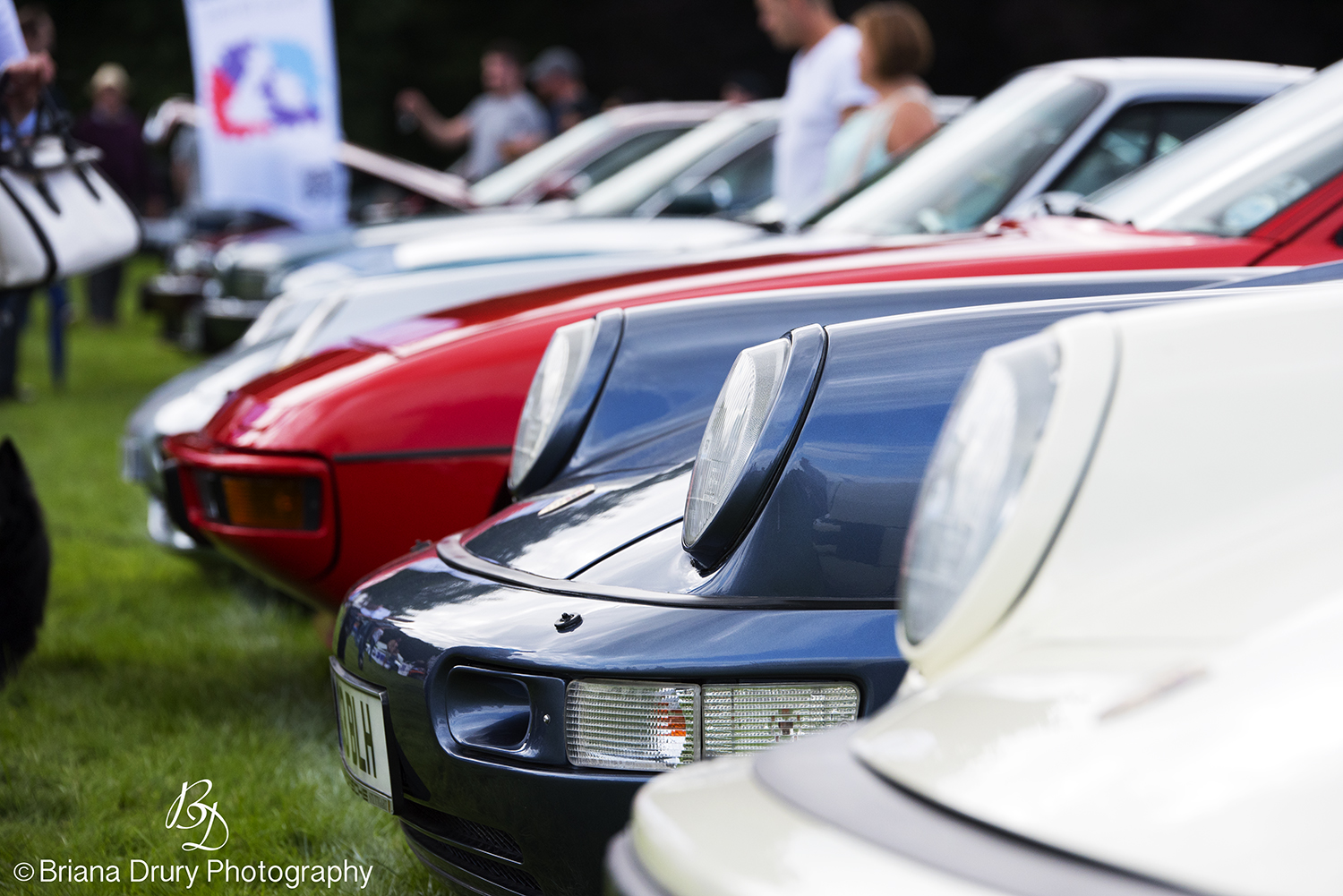 Cars_in_the_Park1220