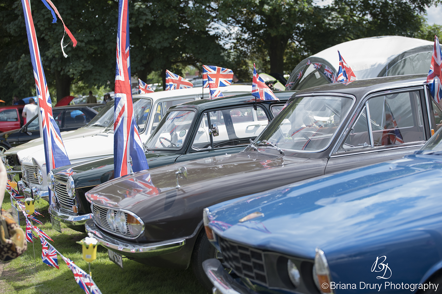 Cars_in_the_Park1271