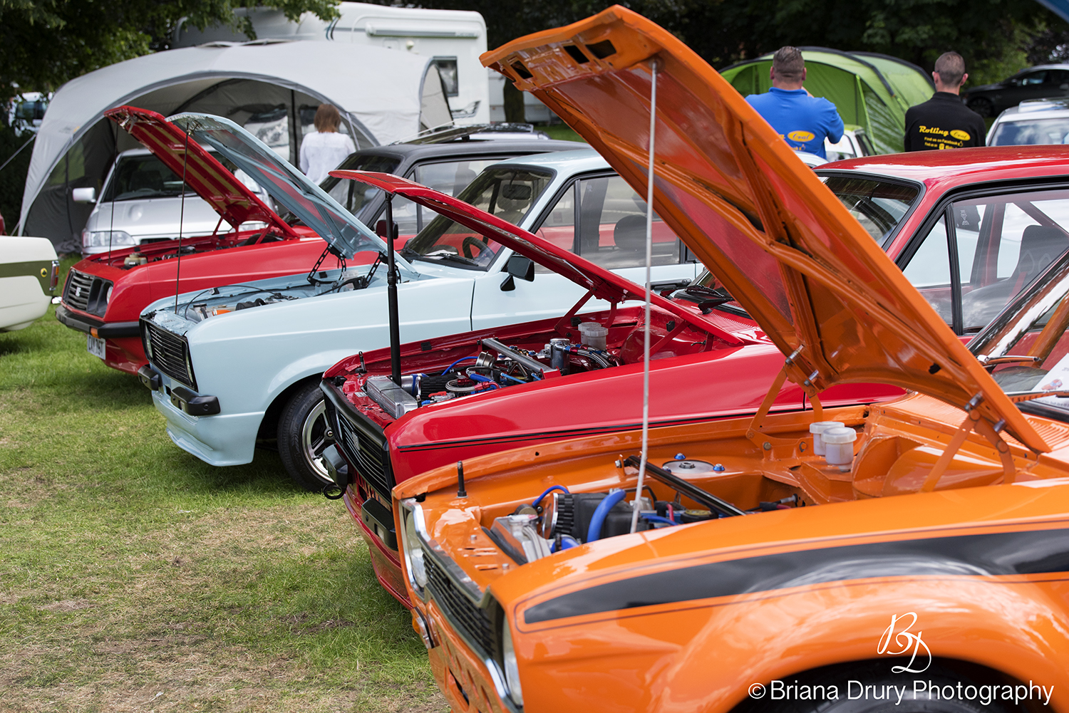 Cars_in_the_Park1291