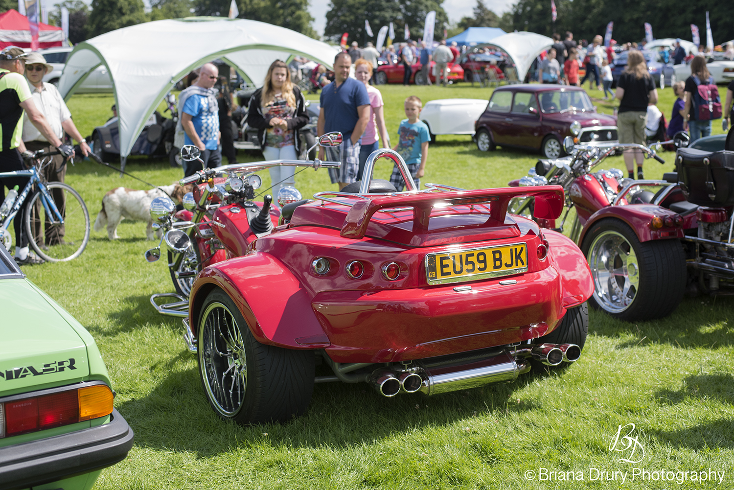 Cars_in_the_Park1349