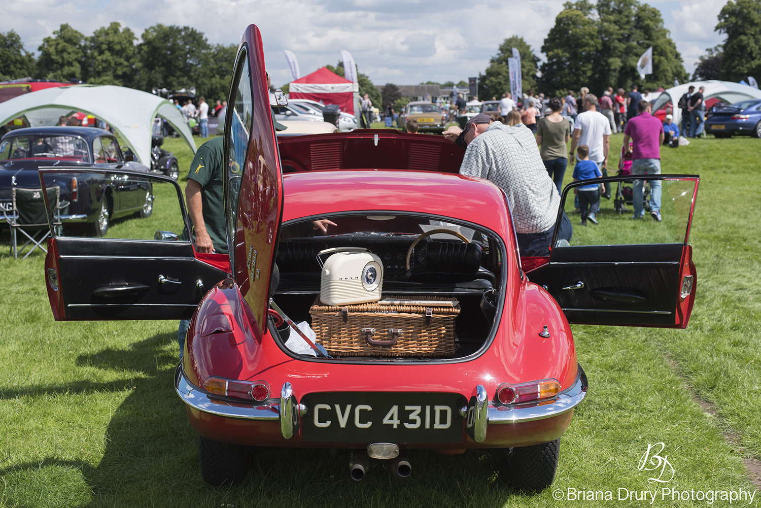 Cars_in_the_Park1396
