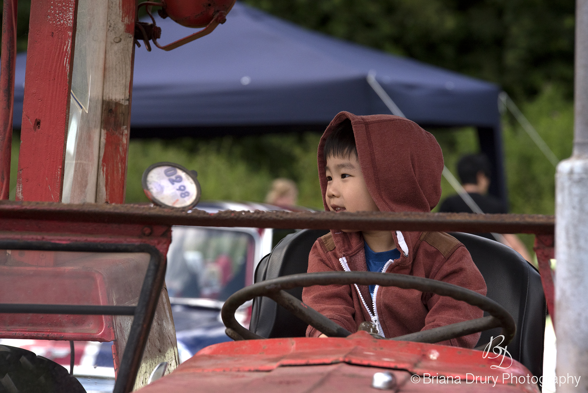 Cars_in_the_Park1169