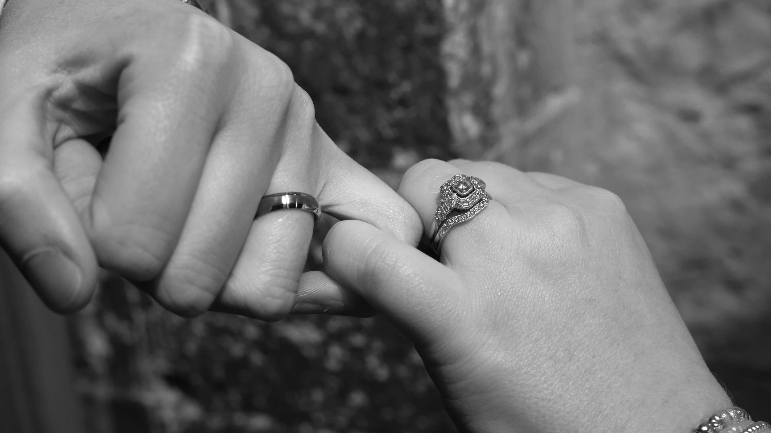 New Wedding Packages & Prices!