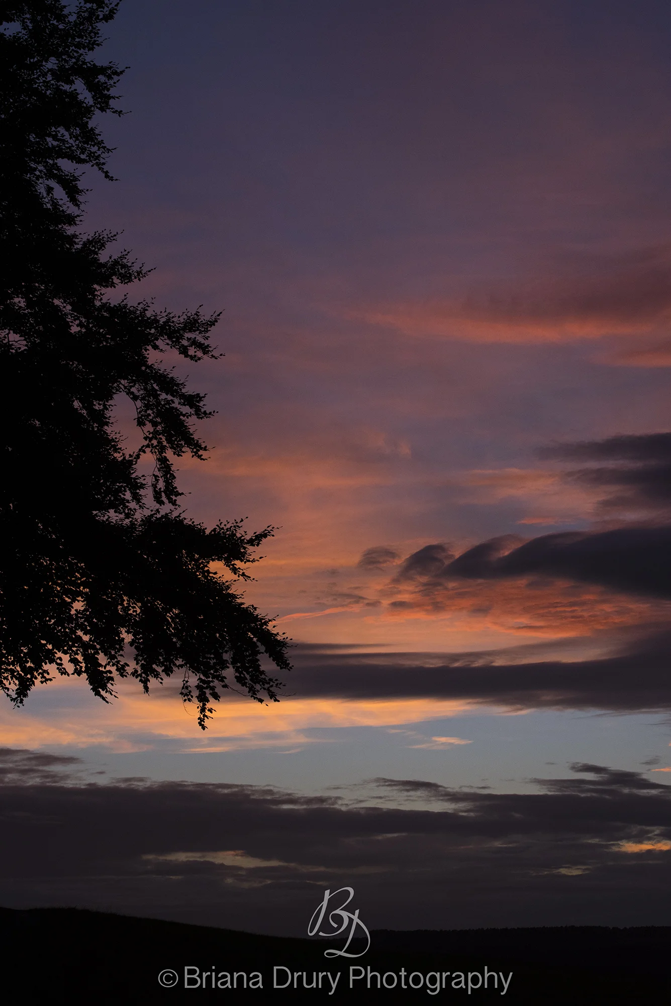 Cannock Sunset