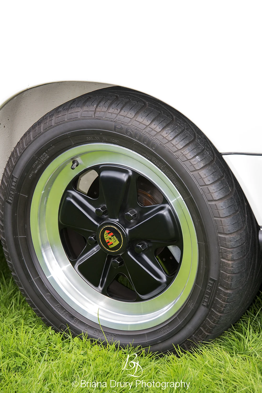 Cars_in_the_Park1224