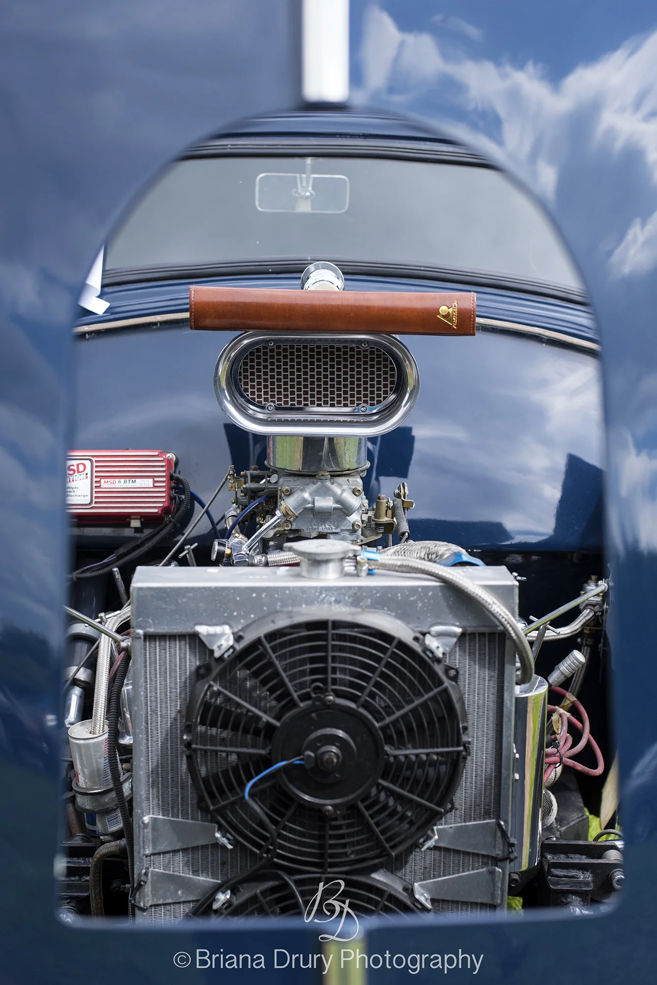 Cars_in_the_Park 1546