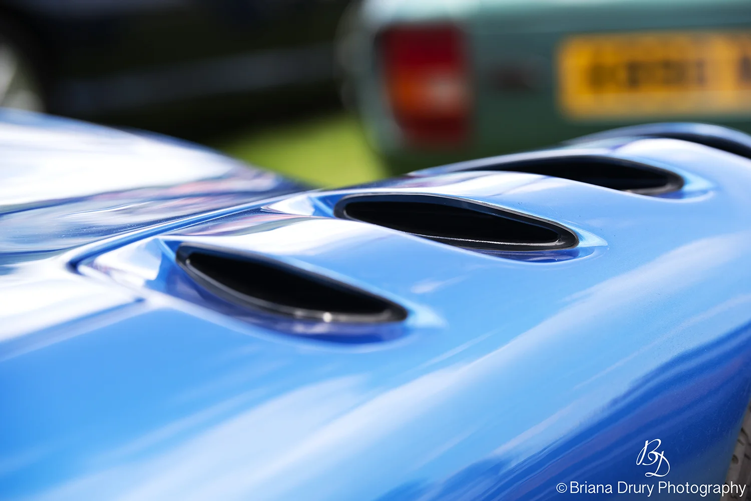 Cars_in_the_Park1257