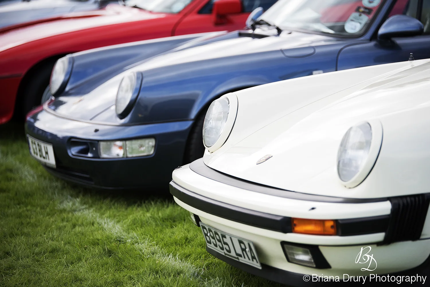 Cars_in_the_Park1216