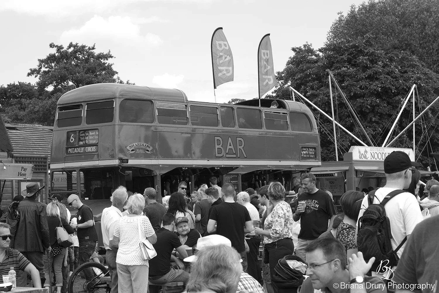 Cars_in_the_Park1100