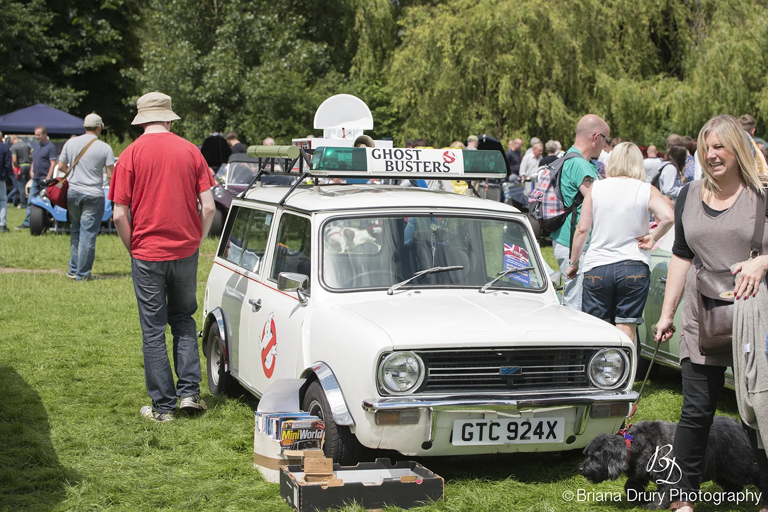 Cars_in_the_Park1152