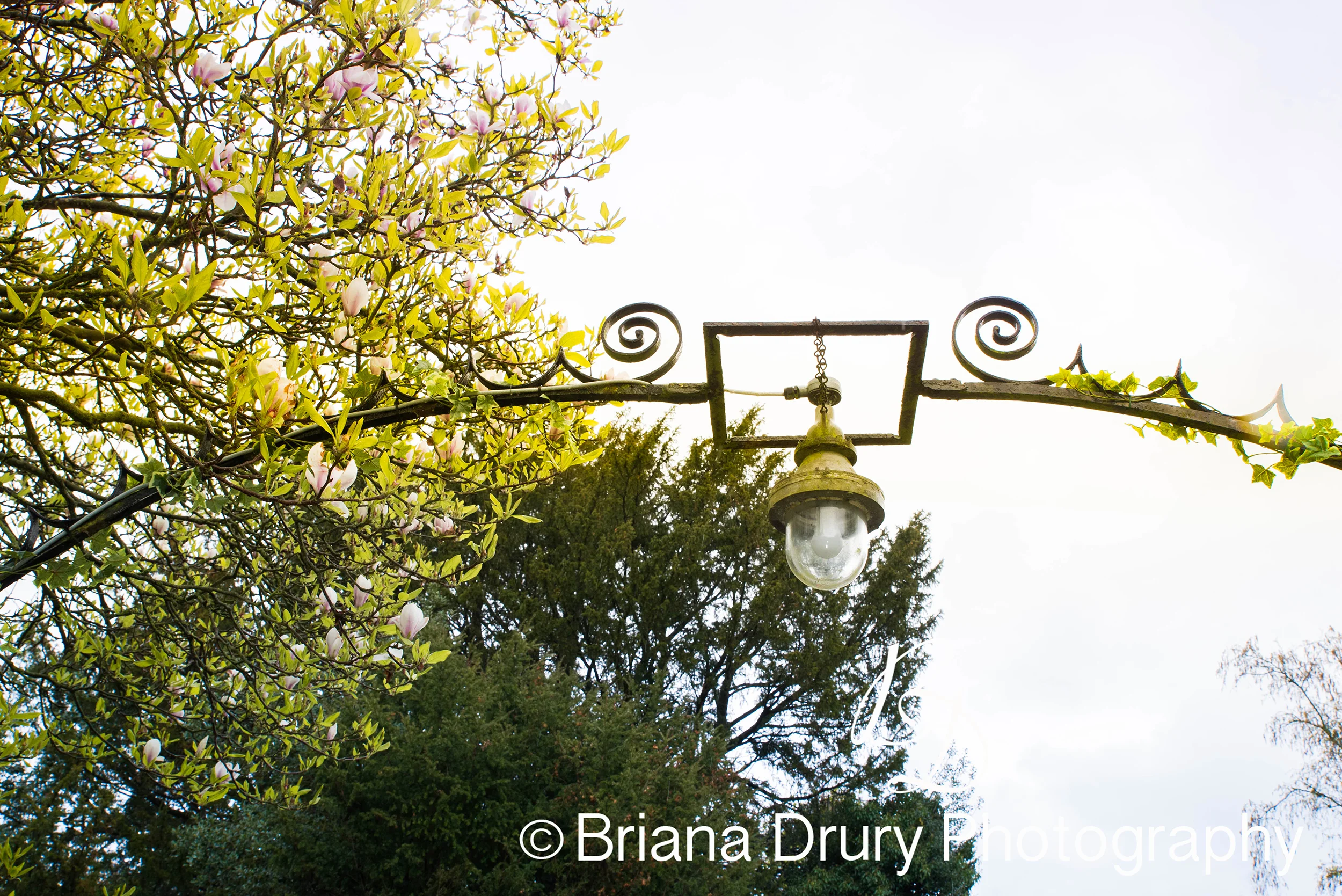 DSC_9922-2WR.jpg