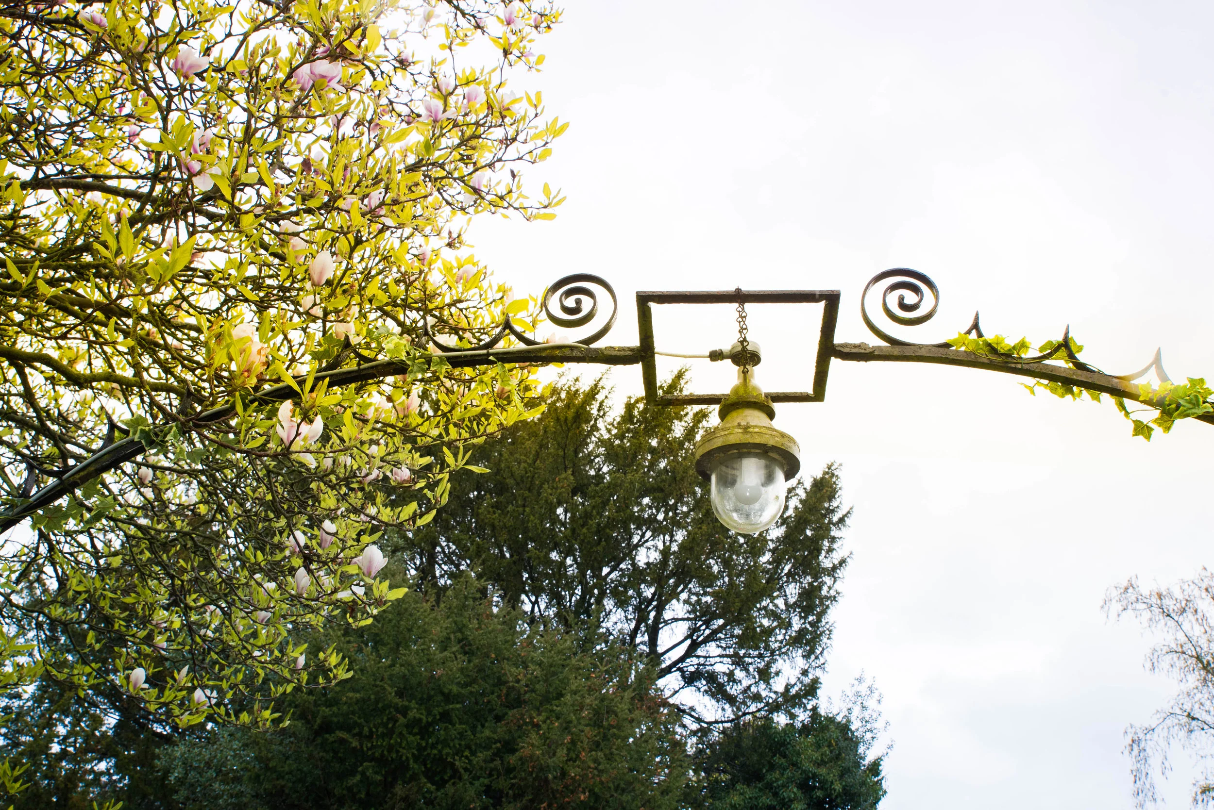 DSC_9922-2R.jpg