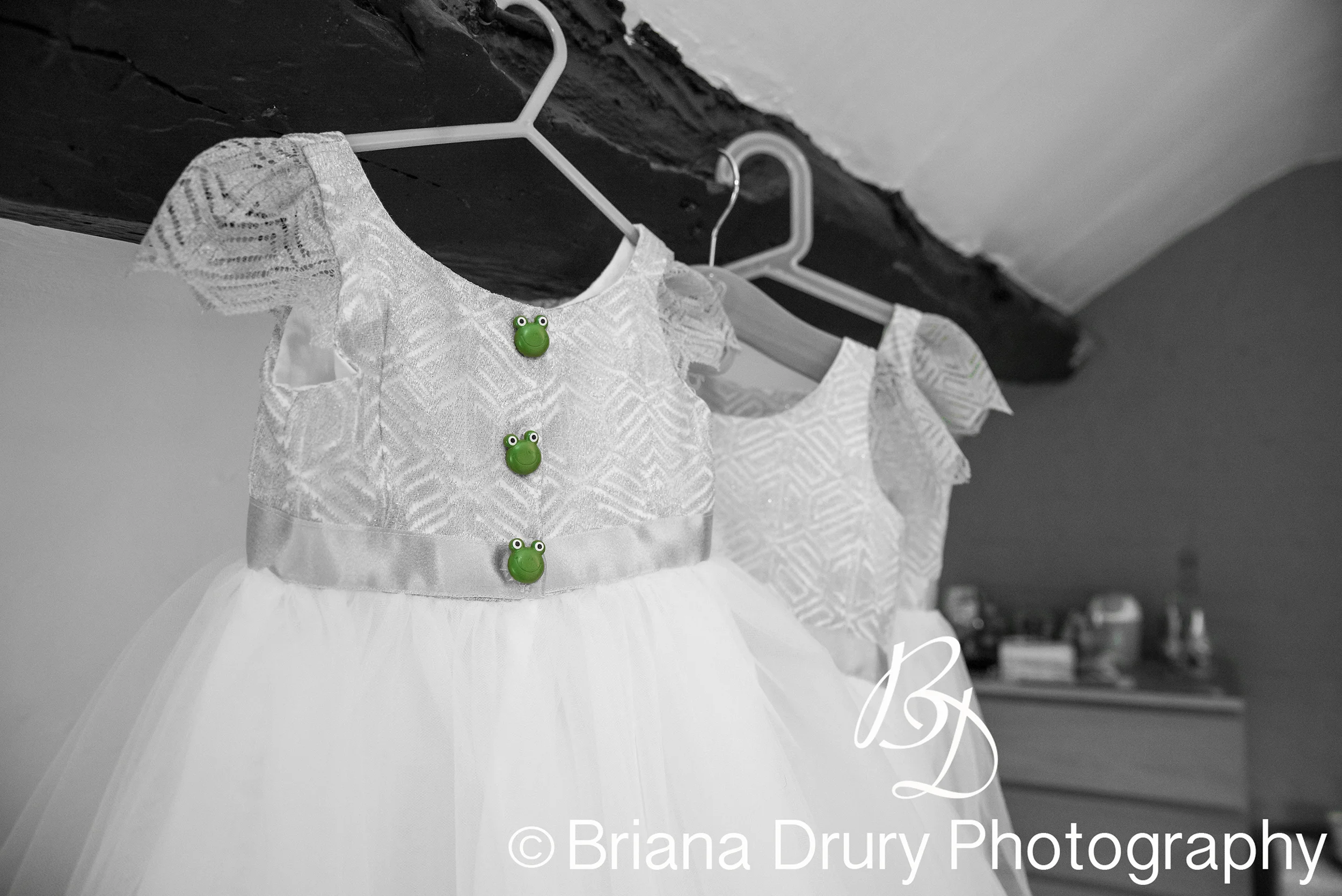 DSC_9295-2WR.jpg