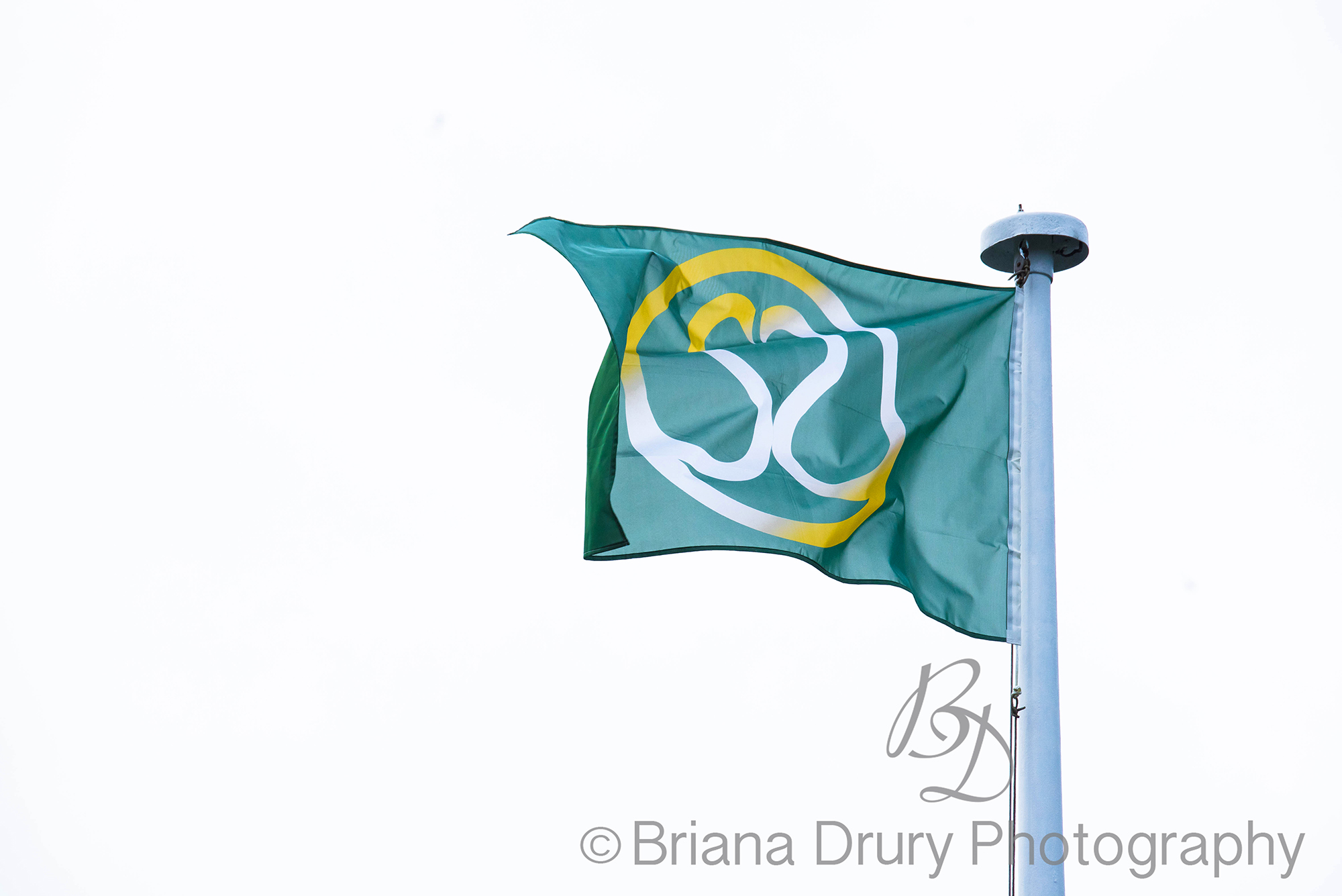 DSC_2684-1WR.jpg