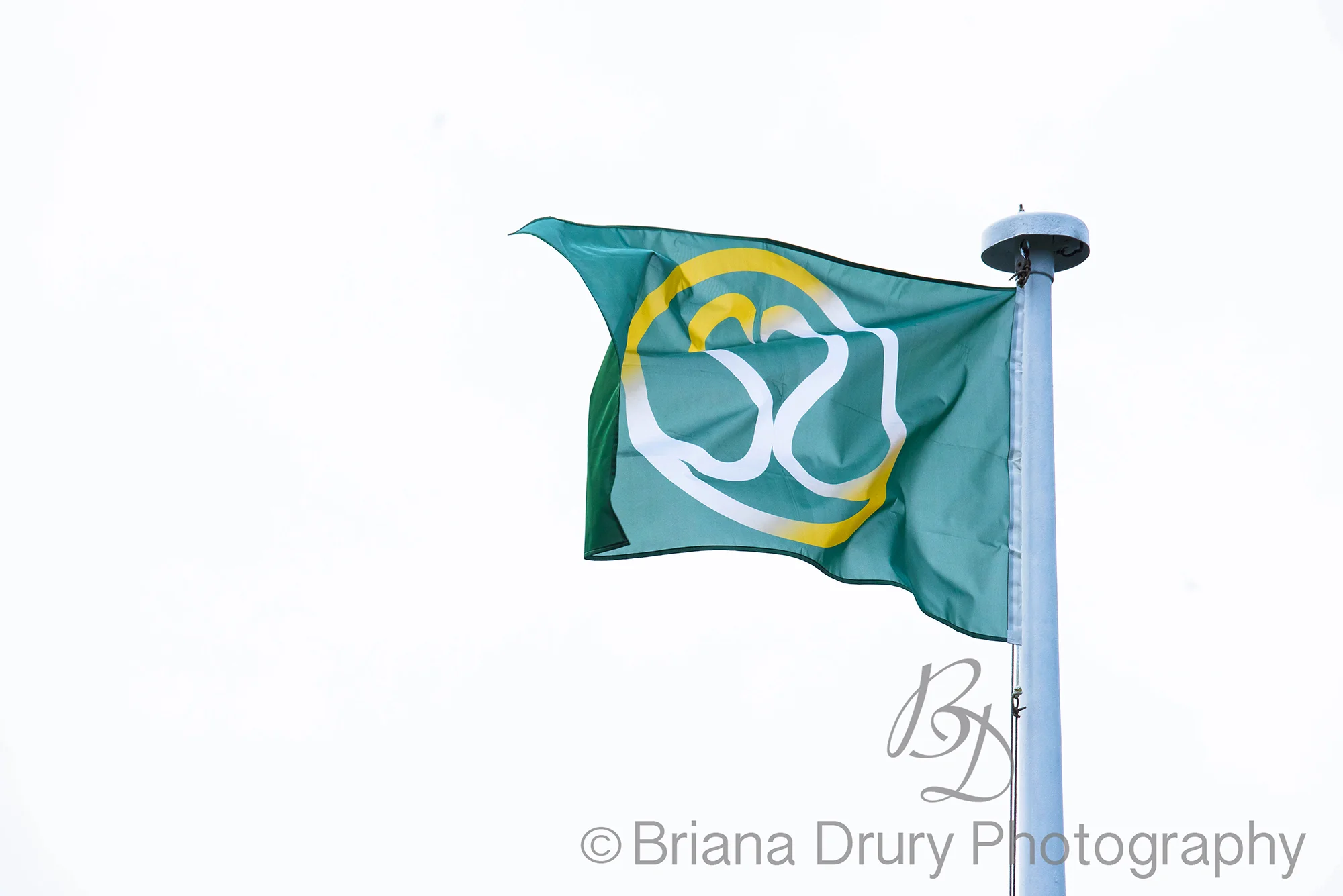 DSC_2684-1WR.jpg
