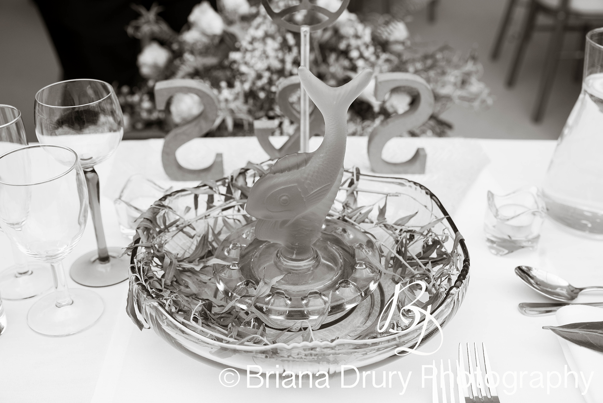 DSC_1029-2WR.jpg