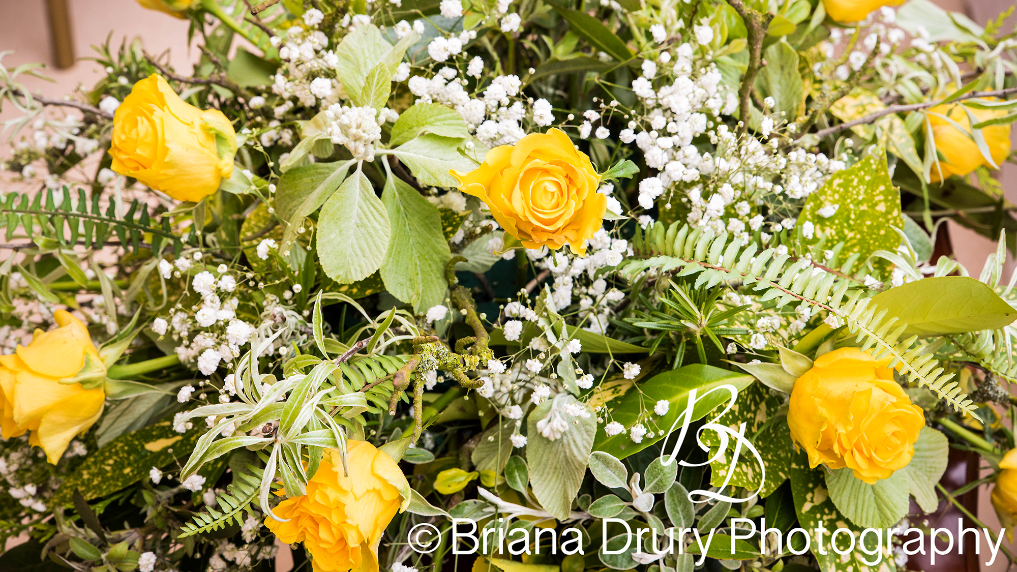 DSC_1702-1WR.jpg