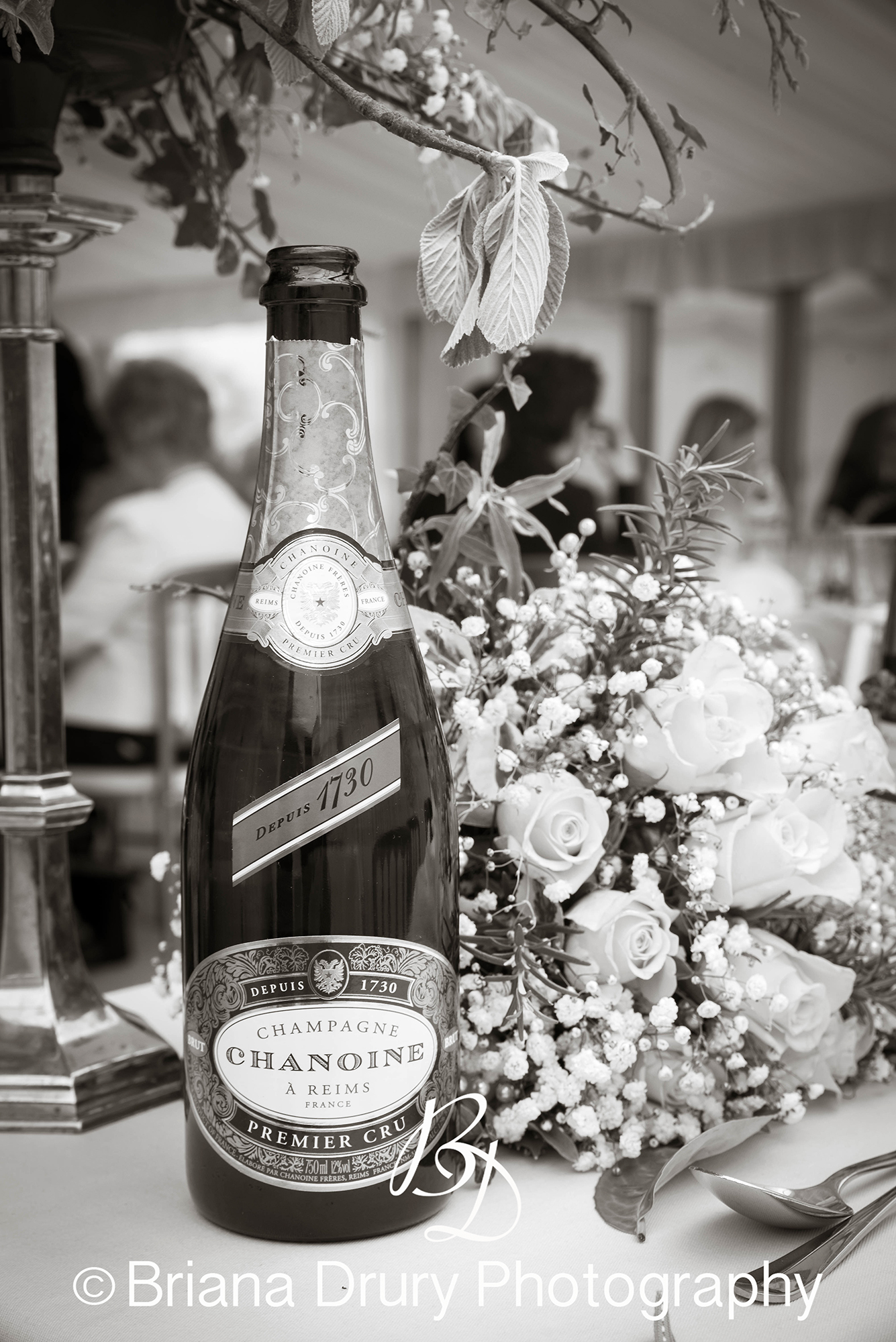 DSC_1705-3WR.jpg