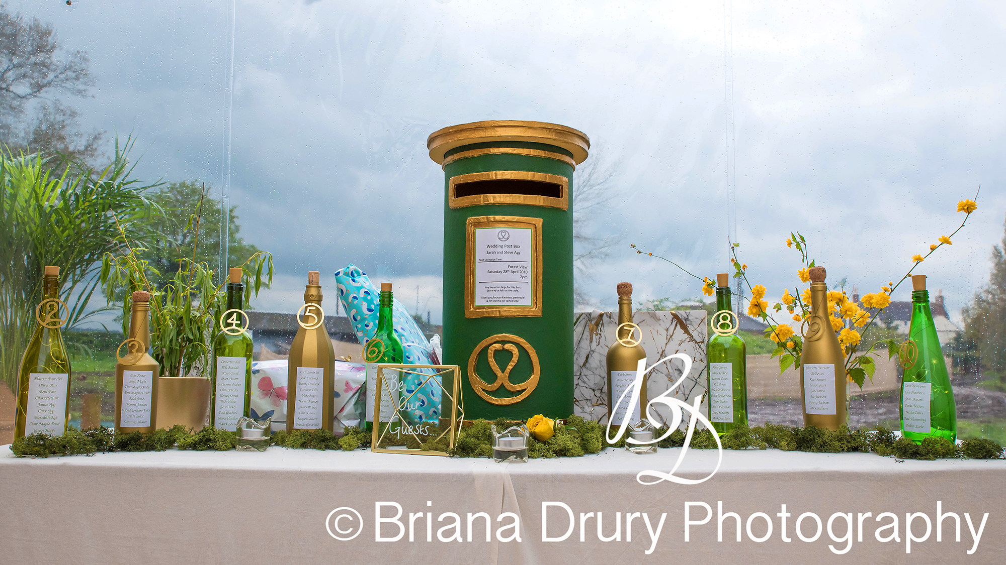 DSC_1715-1WR.jpg