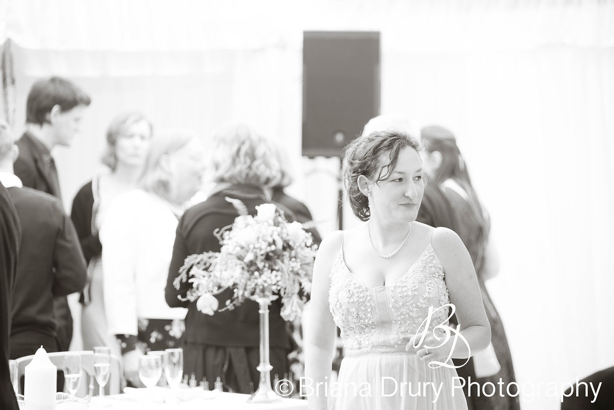 DSC_1498-2WR.jpg