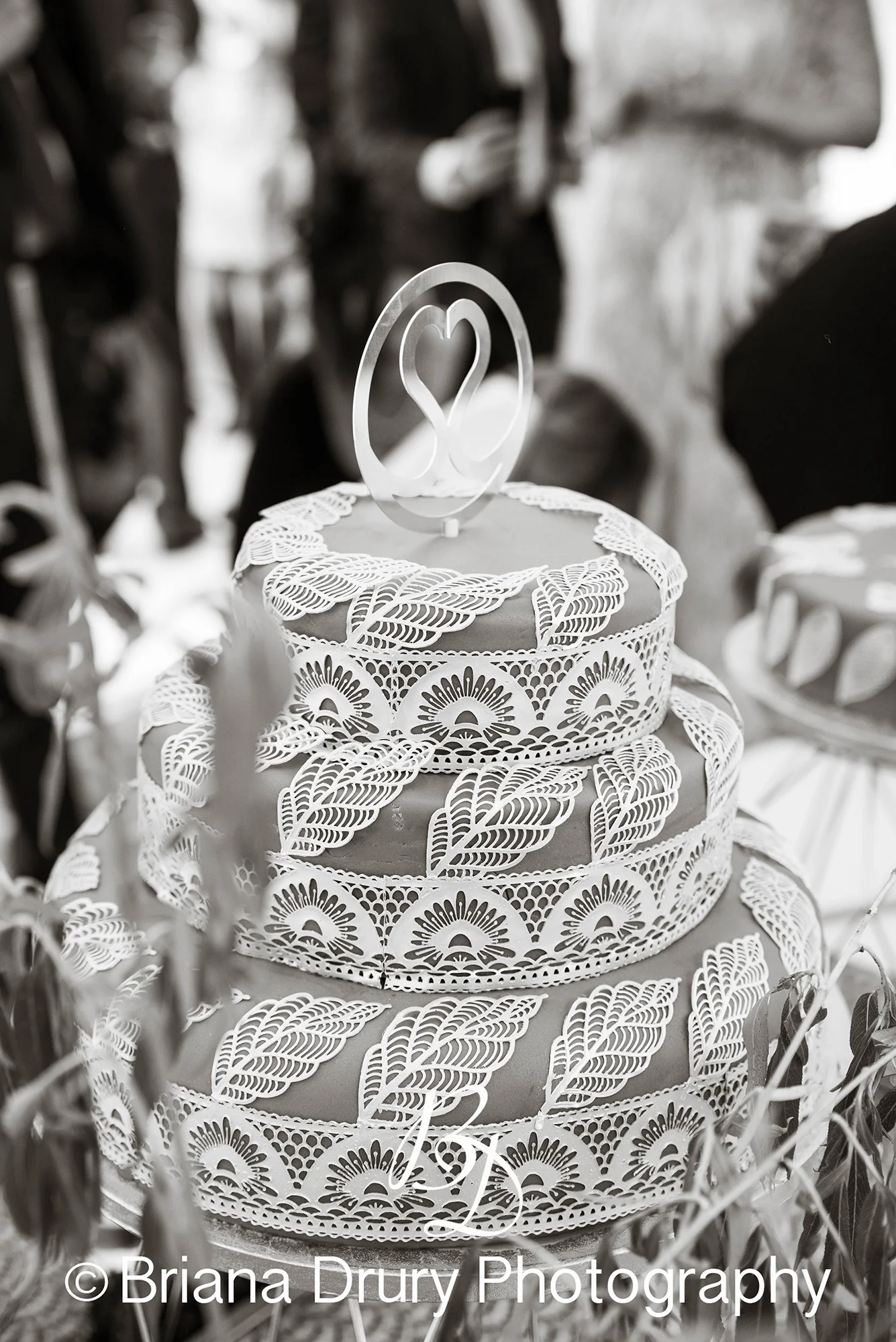 DSC_1102-2WR.jpg