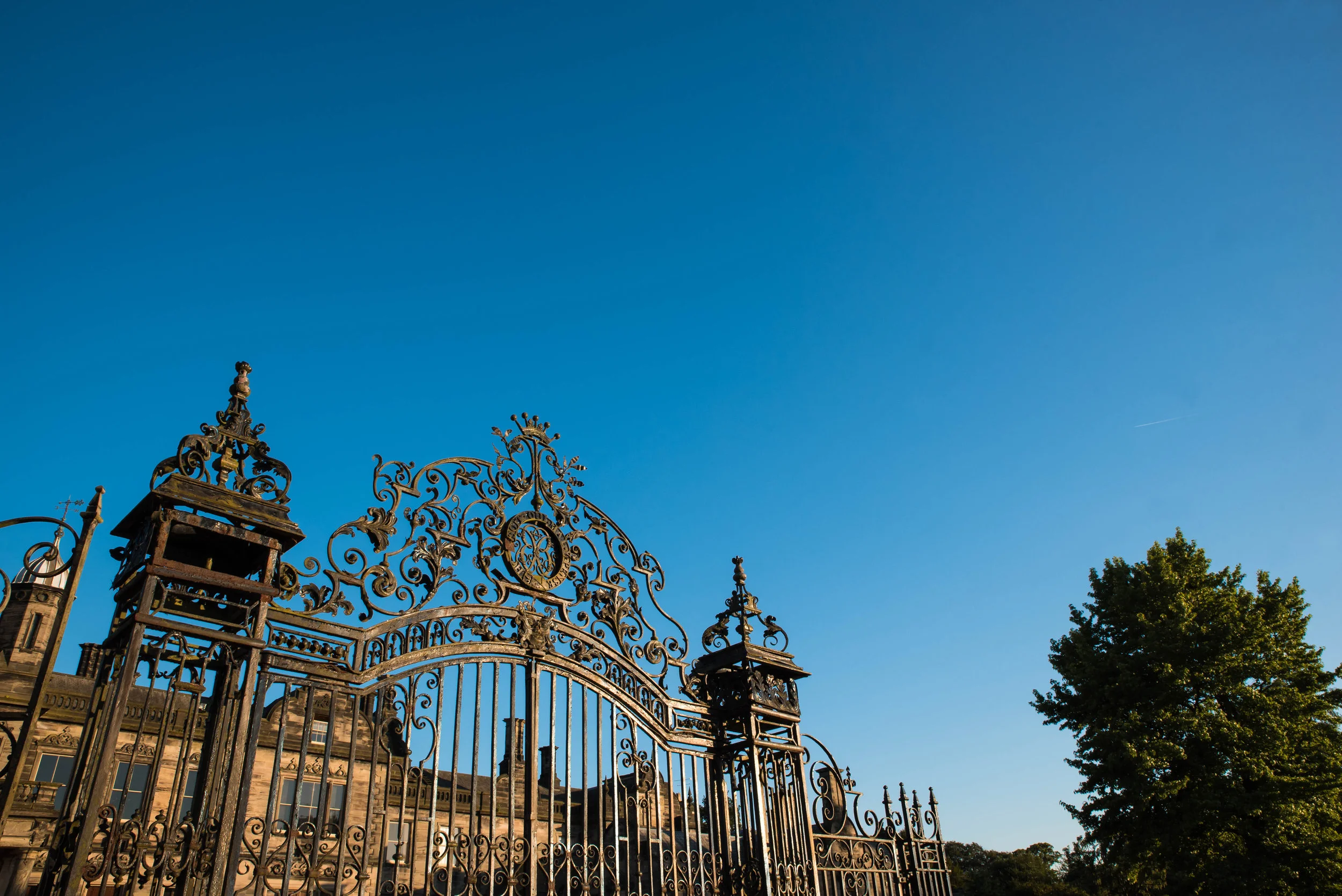 DSC_6134-2R.jpg
