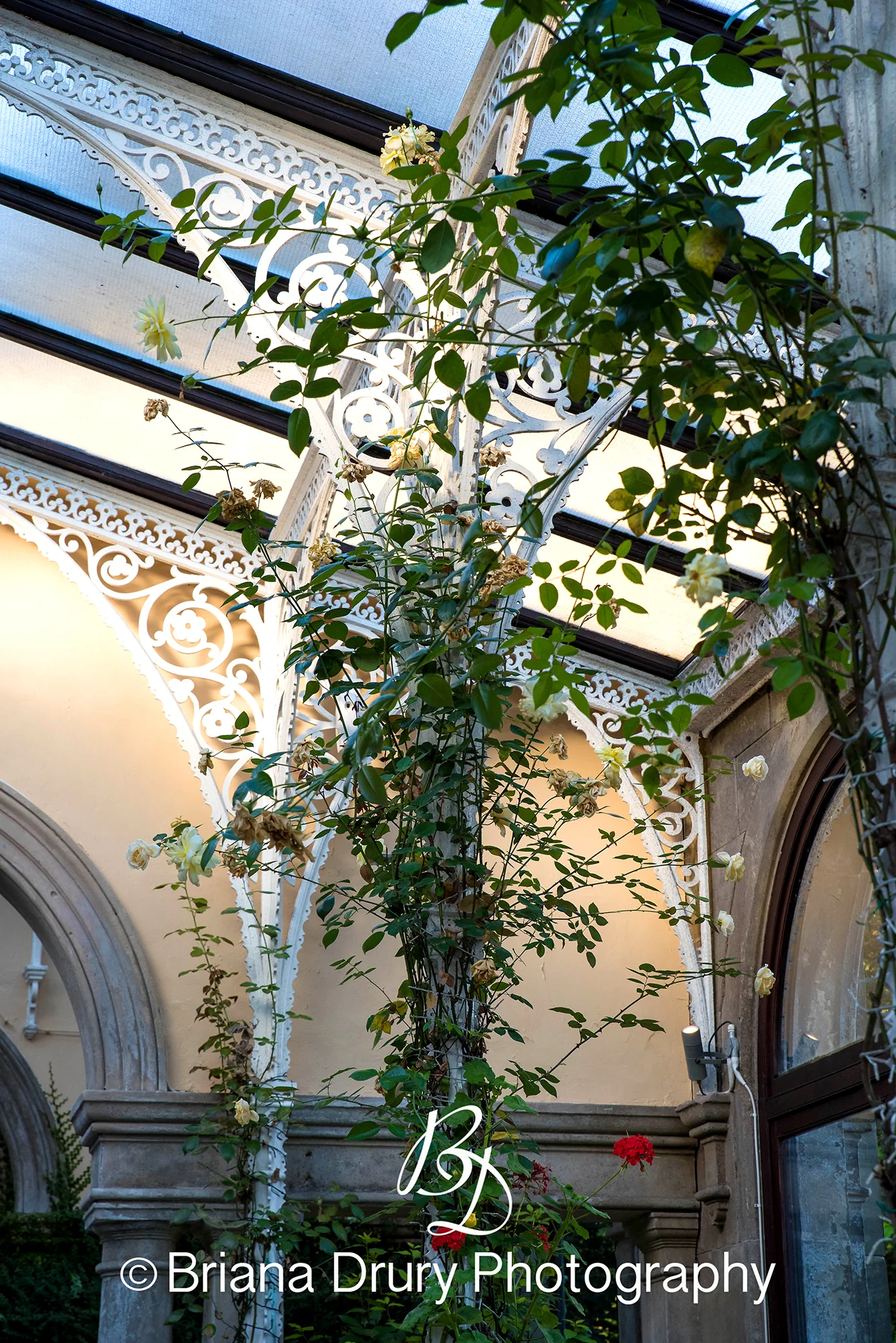 DSC_6108-1WR.jpg