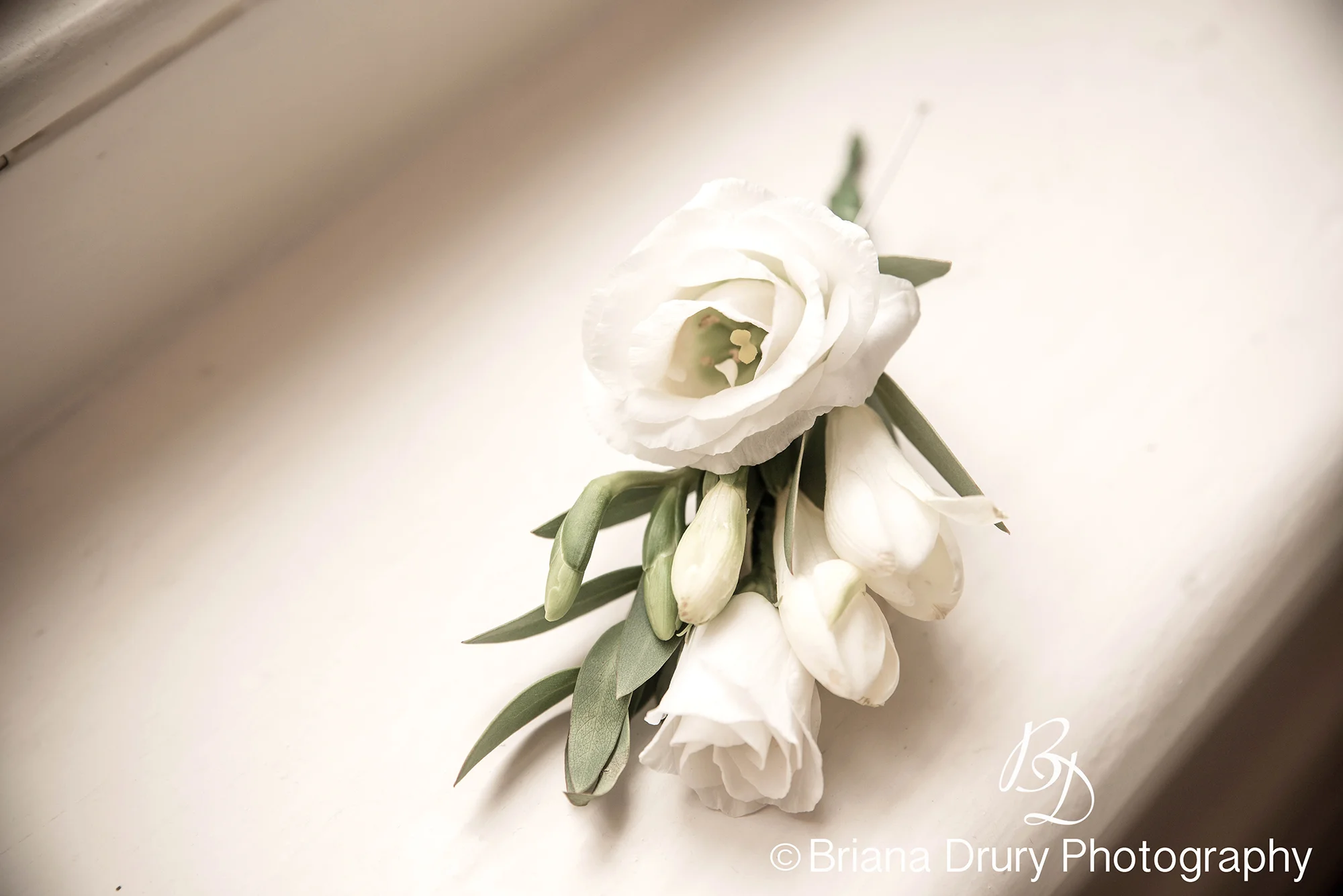 DSC_7957-2WR.jpg
