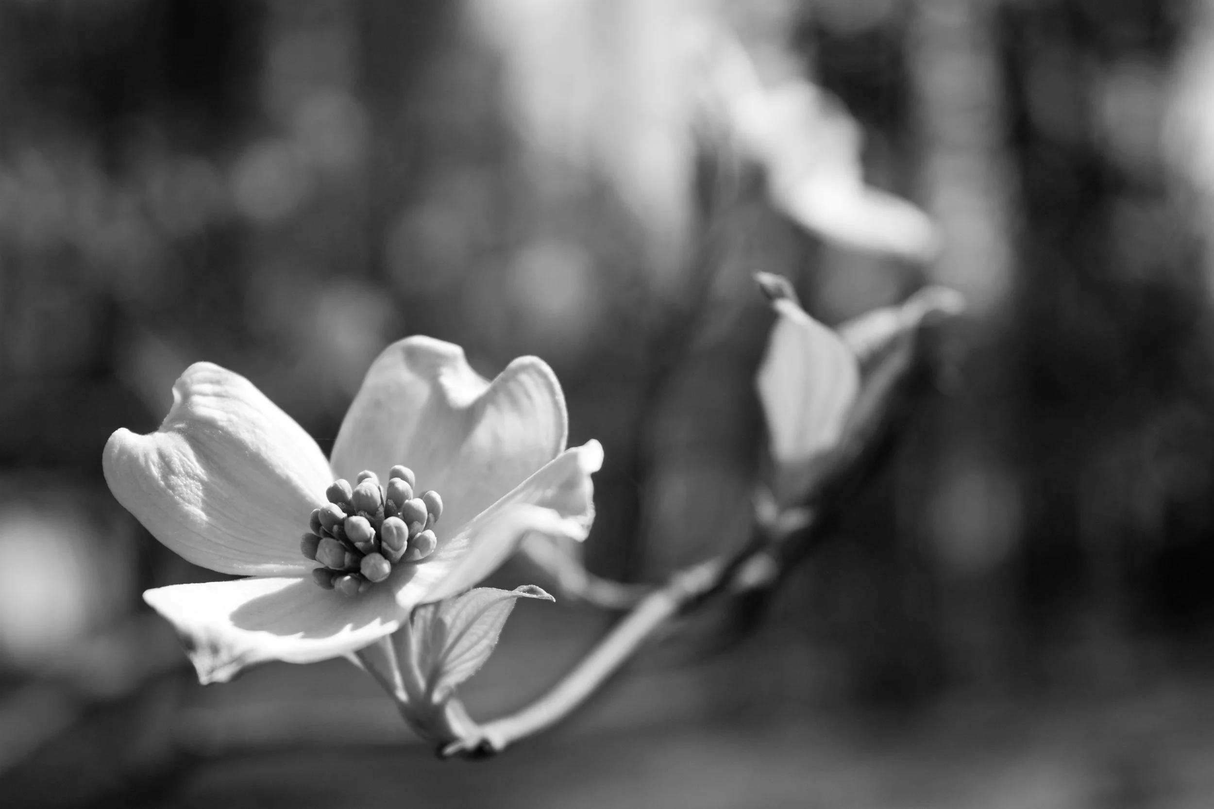 IMG_5544ret.jpg