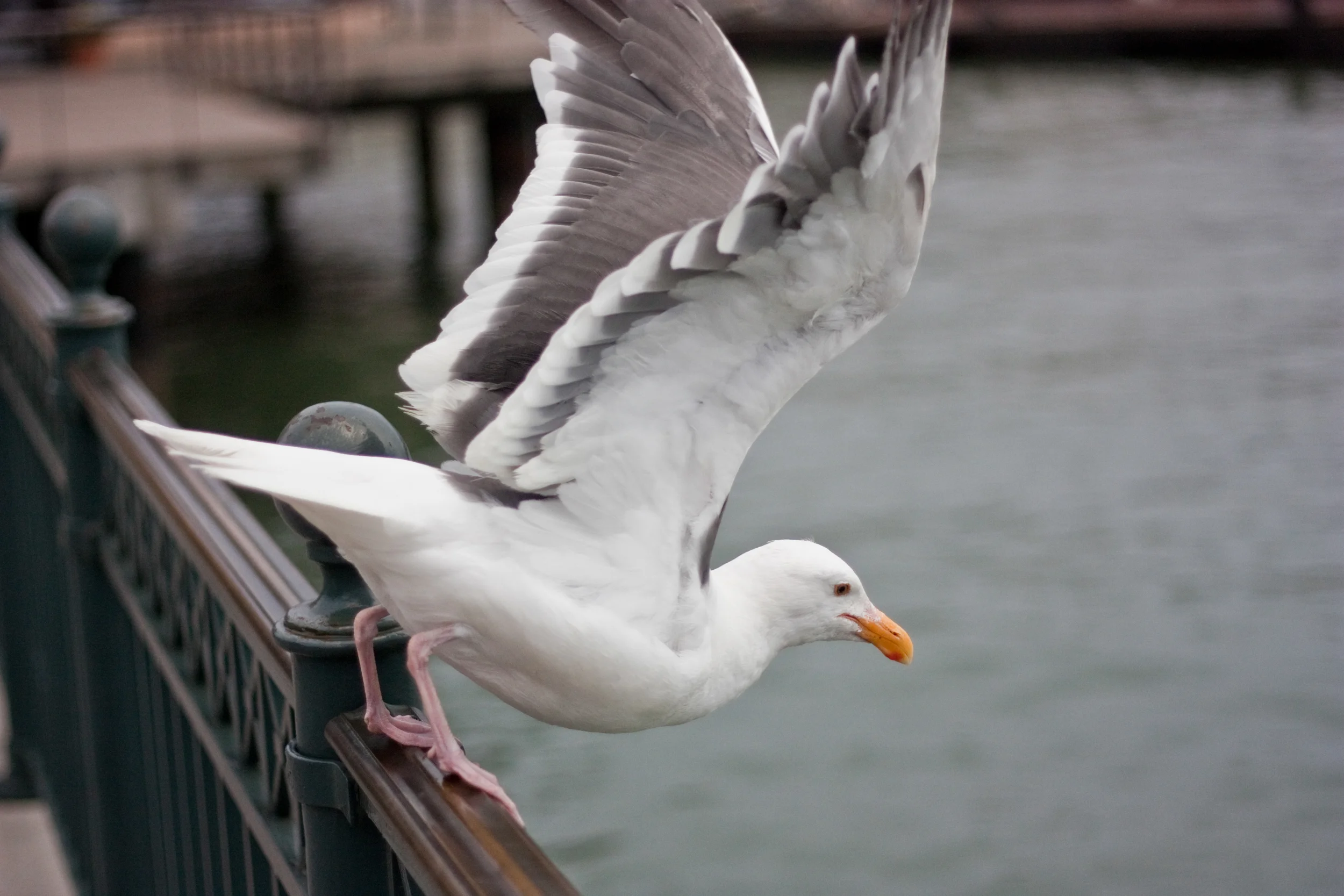 IMG_7160ret.jpg