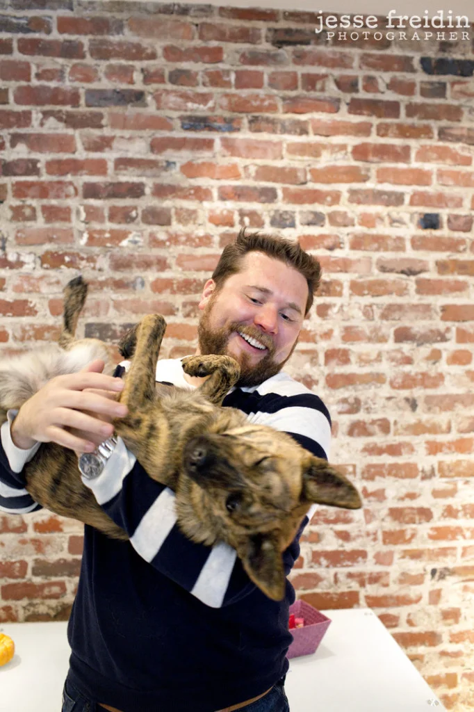Brit + Co: Dogs in the Workplace- Jesse Freidin