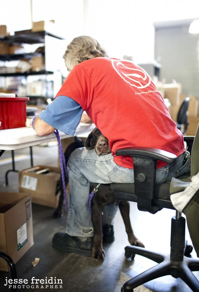 Dogs in the Workplace: The Dogs of DodoCase