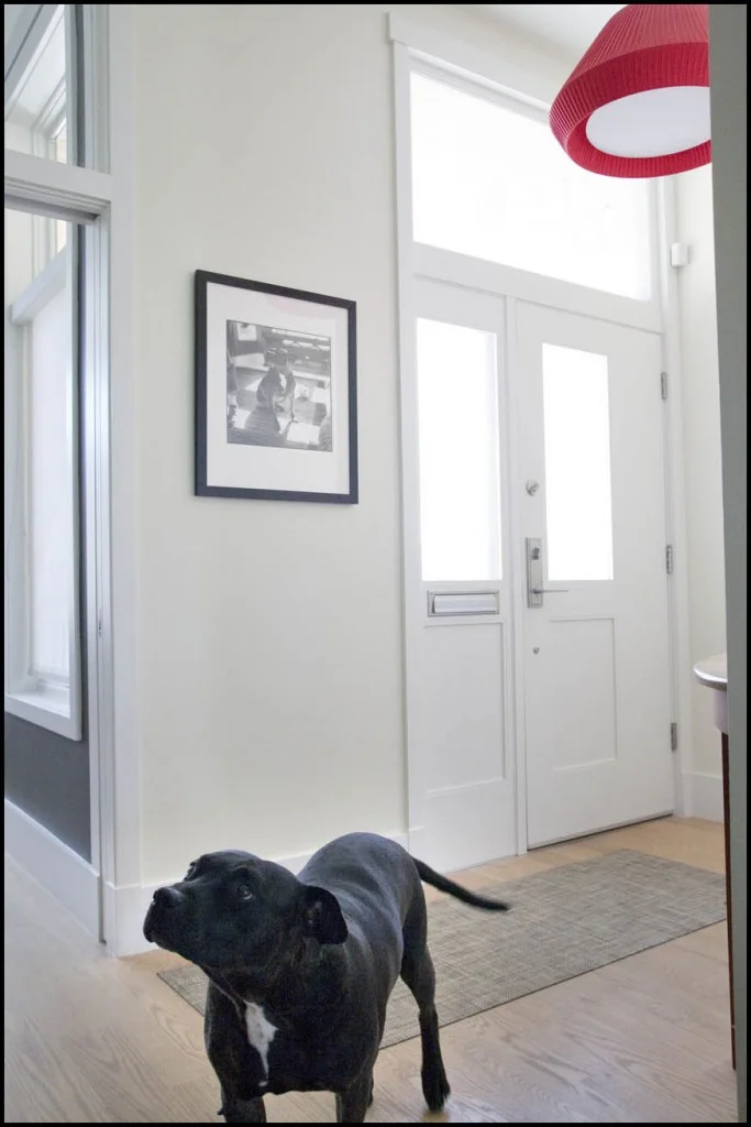Otis interior/True Stories