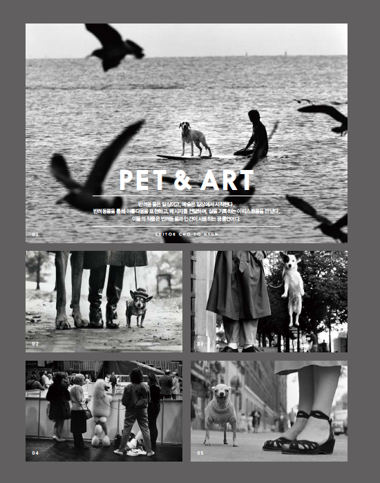 Vogue Korea pet issue
