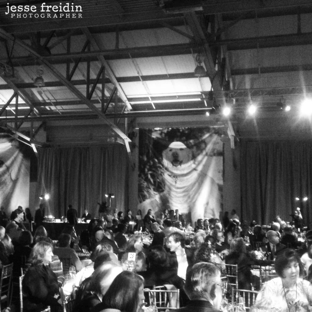 Bark and Whine Ball 2014
