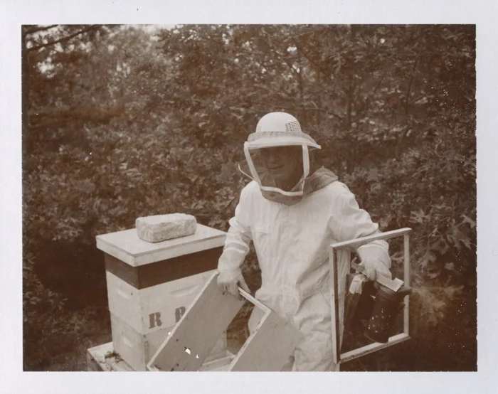 Beekeeping