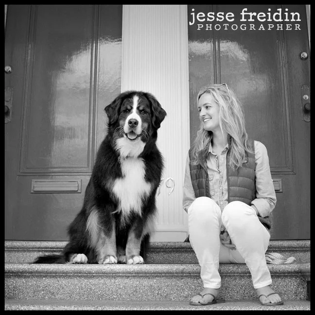 Bernese Mountain Dog- Jesse Freidin
