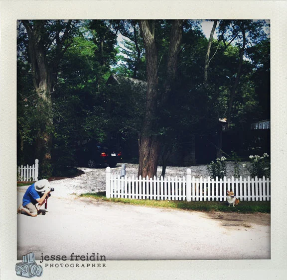 Intro to Fine Art Dog Photography/Castle Hill