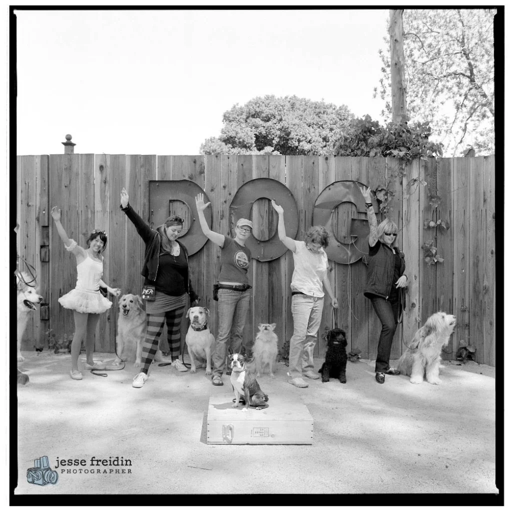 Dog Circus: Friends of the Family Dog Training