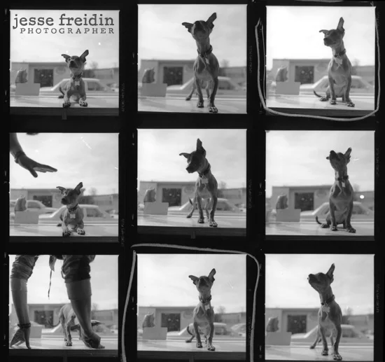 Contact Sheet hasselblad film