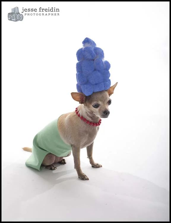 Freidin Dog Costume Halloween