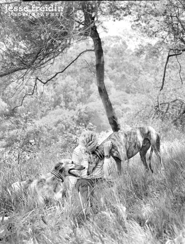 Hollywood Pet Photographer