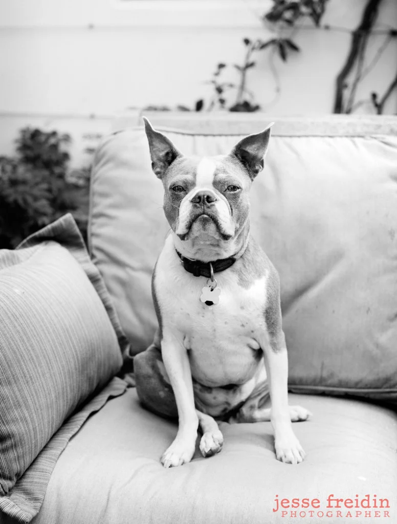 jesse.freidin.photography
