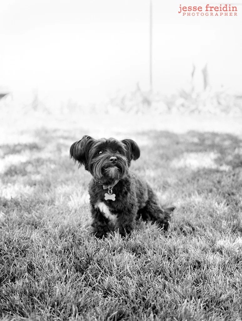 Jesse Freidin Photographer