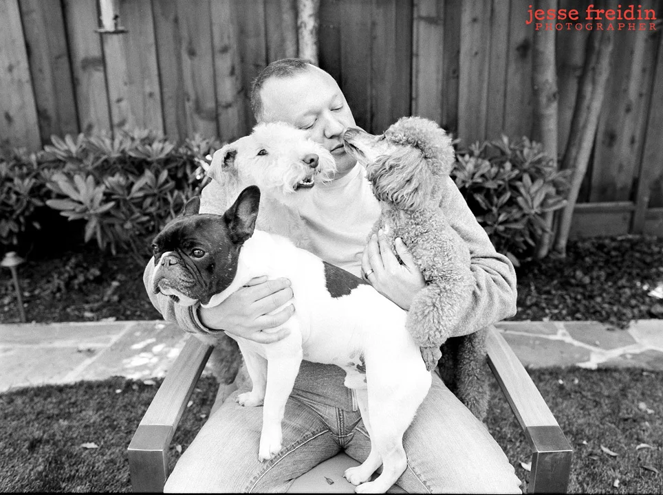 pet portraits san francisco