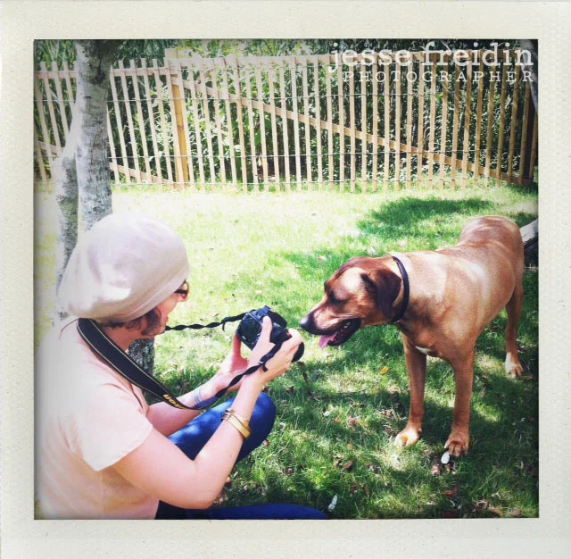 Pet Photography Class with Jesse Freidin