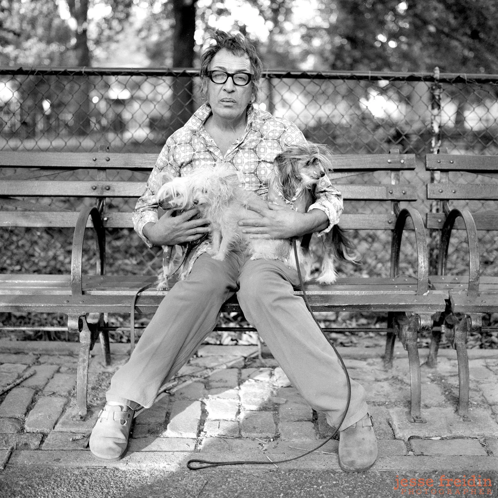 Dog Photography New York