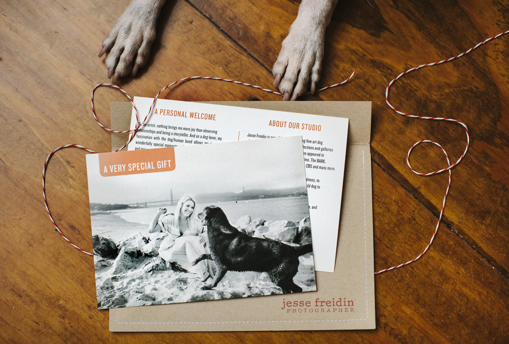 Personalized dog photography gift certificate from Jesse Freidin Photographer.